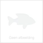 Seizoen 2025 afgesloten met snertwedstrijd die werd gewonnen door Tinus Huisman